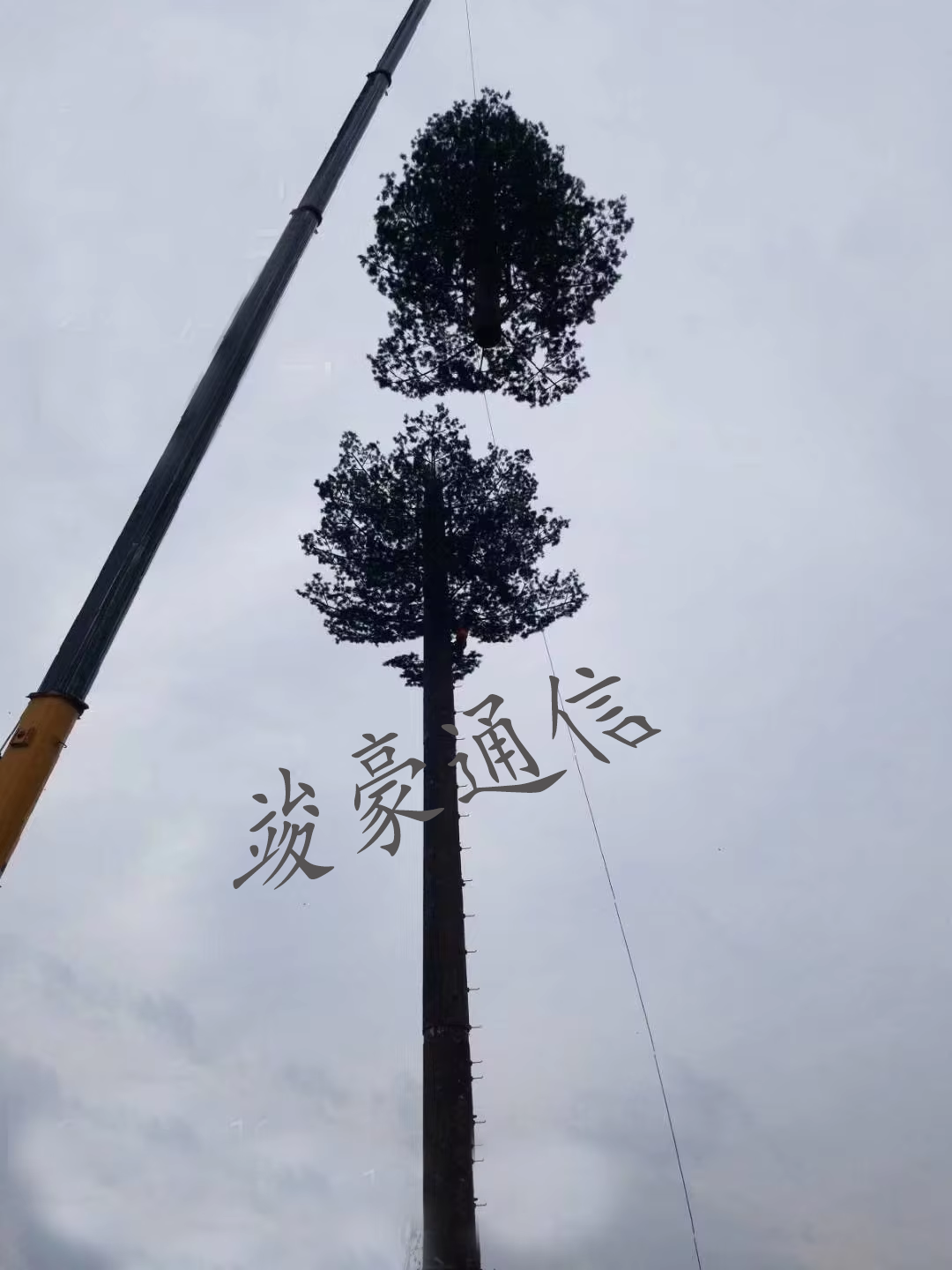微信图片_20240625094330.png 微信图片_20240625094330.png