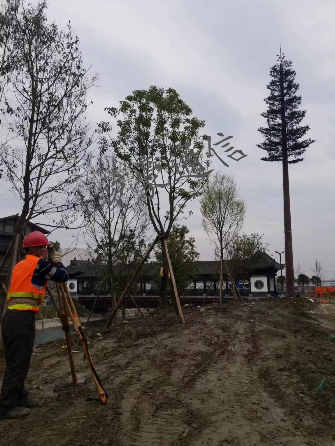 微信图片_20240625095104.png