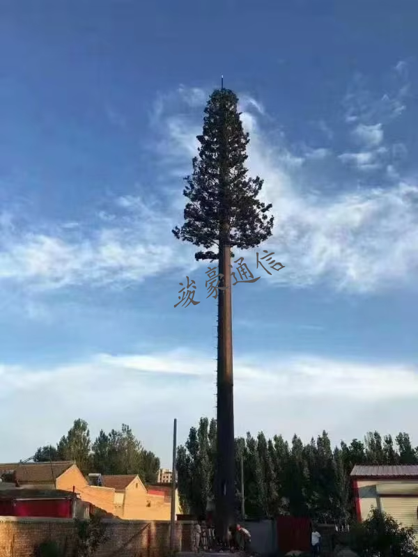 微信图片_20240625094301.png