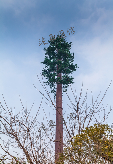 竣豪通信 竣豪通信