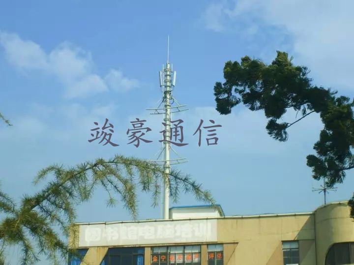 楼顶塔 楼顶塔