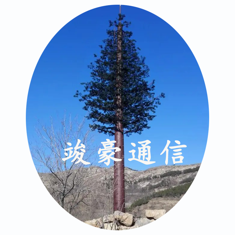当信号塔“化身”大树：城市里的隐秘伪装